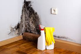  , USA Mold Prevention & Removal Pros